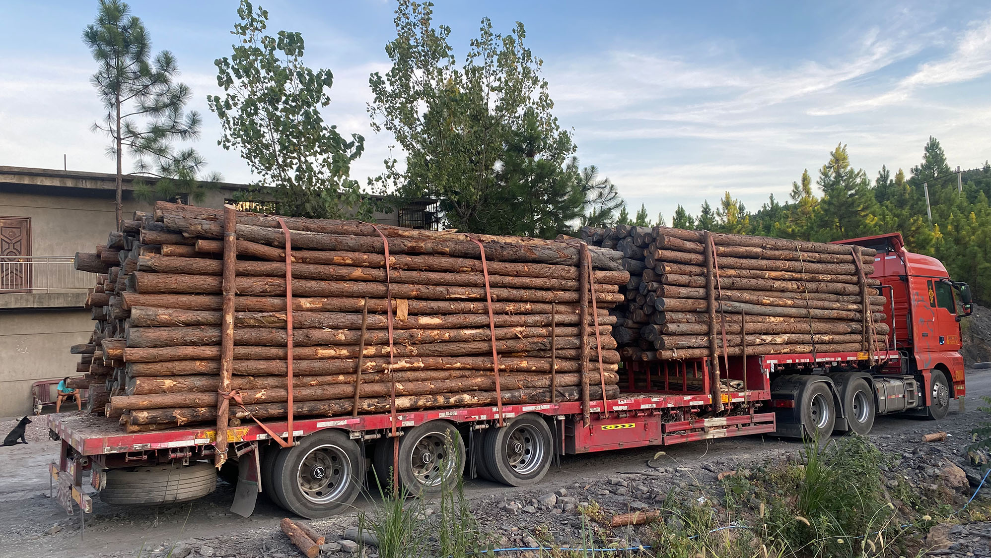 木樁廠(chǎng)家后勤運輸保障