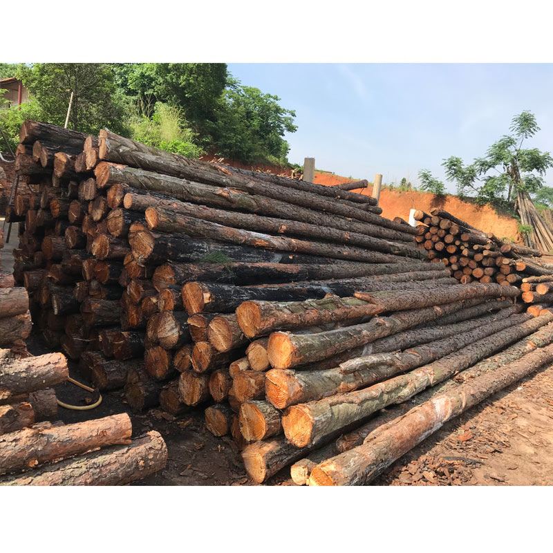 松木樁使用注意事項有哪些？