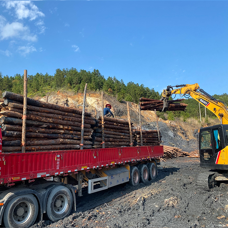 防洪防汛用的松木樁/杉木樁哪里有賣(mài)？