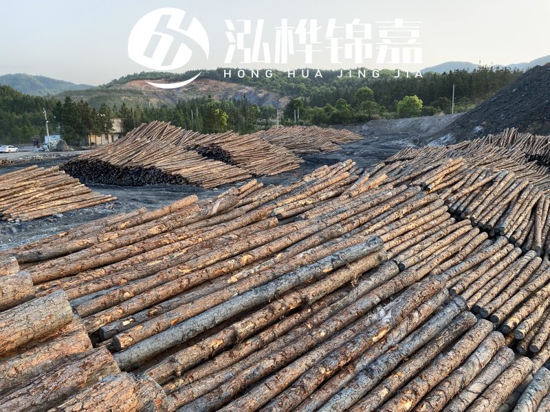 松木木樁哪里批發(fā)最便宜-松木樁廠(chǎng)家推薦