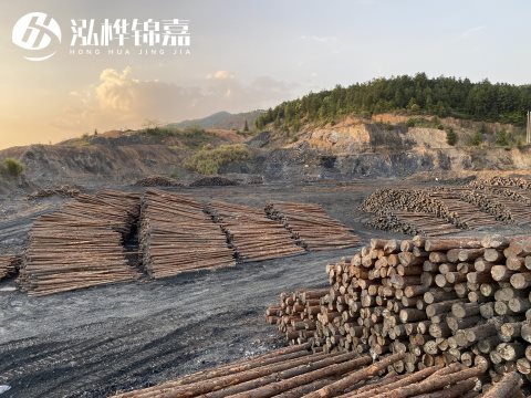 松木樁廠(chǎng)家推薦-如何選擇一家好的松木樁廠(chǎng)家批發(fā)木樁