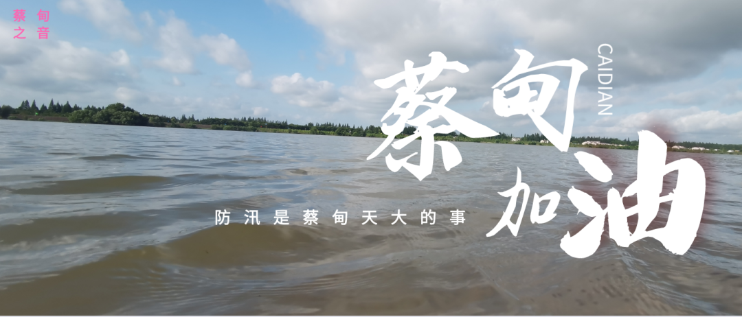 蔡甸區啟動(dòng)防汛ⅰ級應急響應，做好鋪土釘防汛木樁工作