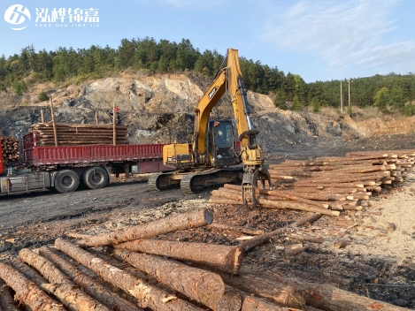 松木樁批發(fā)價(jià)格是多少？