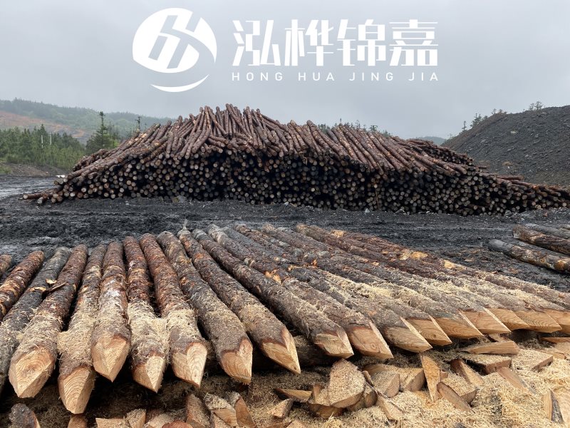 6米長(cháng)松木樁有哪些作用，多少錢(qián)一根？