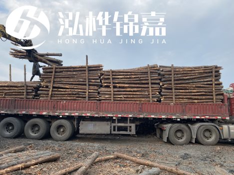 打樁木材為何首選松木？松木樁應該怎么打樁施工