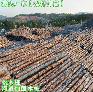 松木樁會(huì )腐爛嗎,腐爛年限是多久?