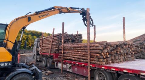 松木樁哪里有賣(mài)-松木樁實(shí)力廠(chǎng)家有哪些