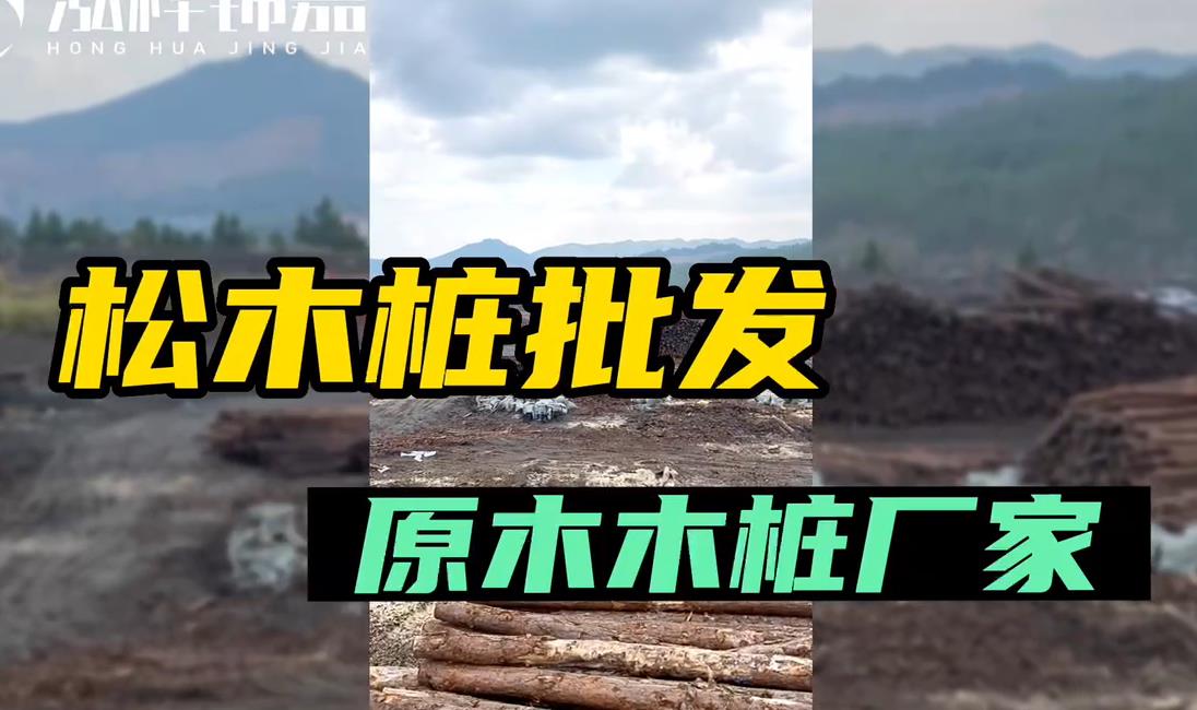 原木木樁廠(chǎng)家批發(fā)松木樁