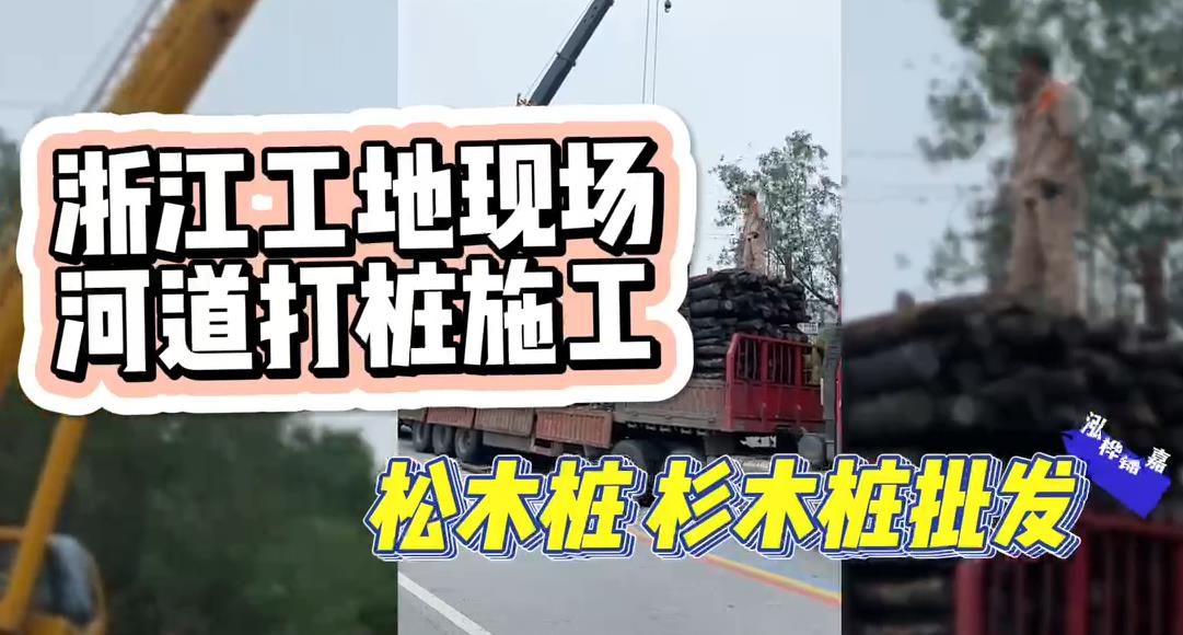 木樁廠(chǎng)家承接松木樁、杉木樁工地施工與批發(fā)視頻