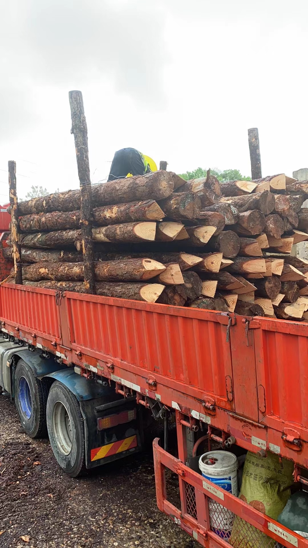 松木樁新手必備！快速掌握規范和要求