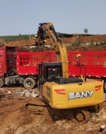 松木原木、松木條，漲勢如虹，現在搶購最劃算(附松木原木供應廠(chǎng)家介紹)
