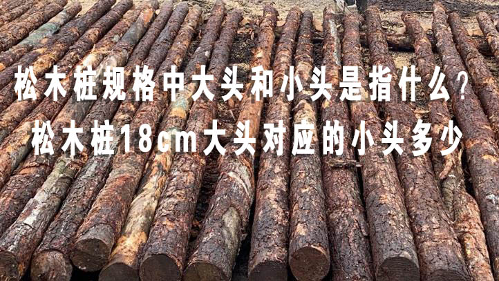 松木樁規格中大頭和小頭是指什么？松木樁18cm大頭對應的小頭多少