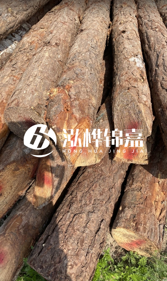 <strong>松木樁和杉木樁的用途區別？哪個(gè)更適合打樁用？</strong>