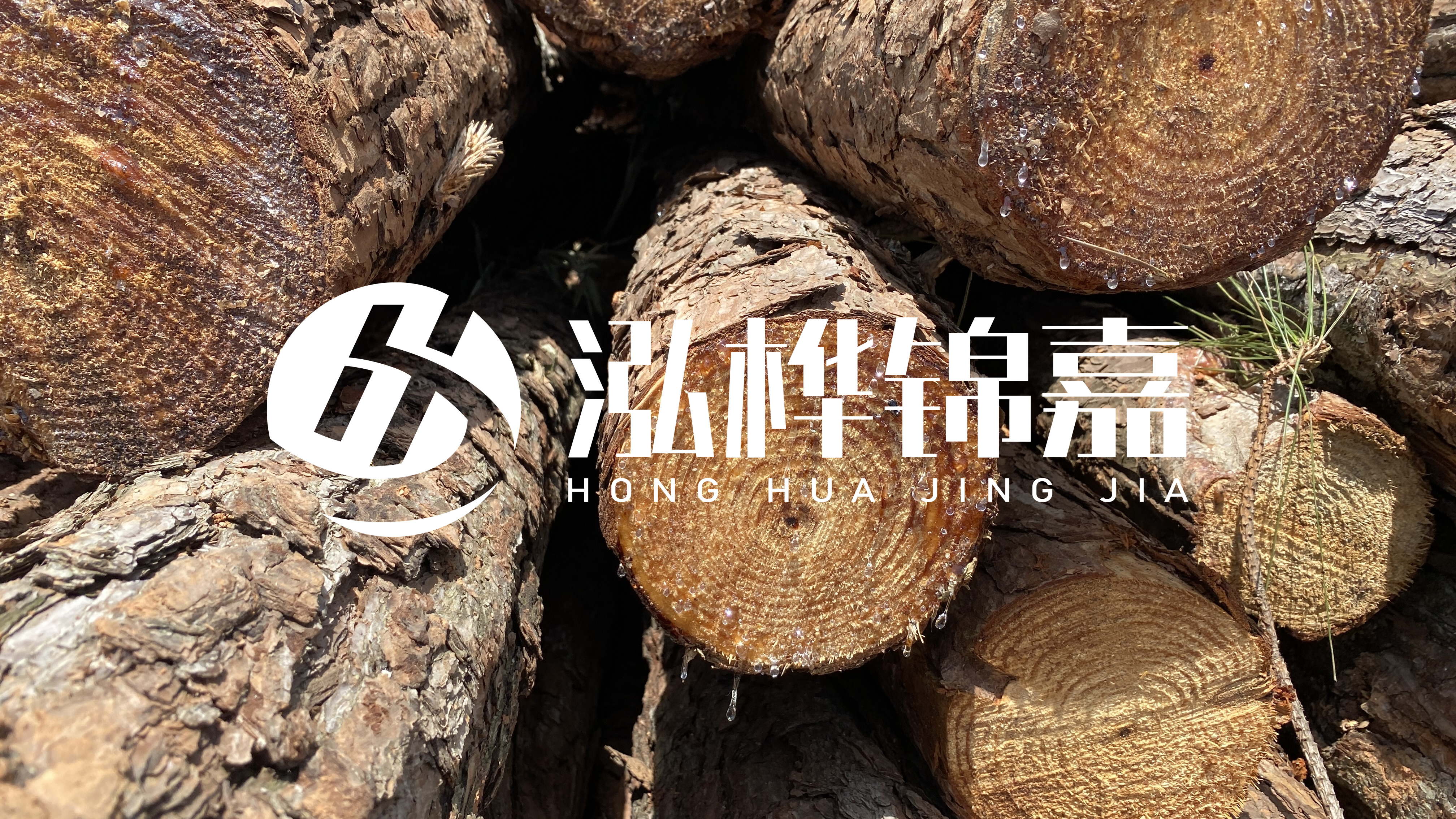 為什么要用松木樁治理河道？