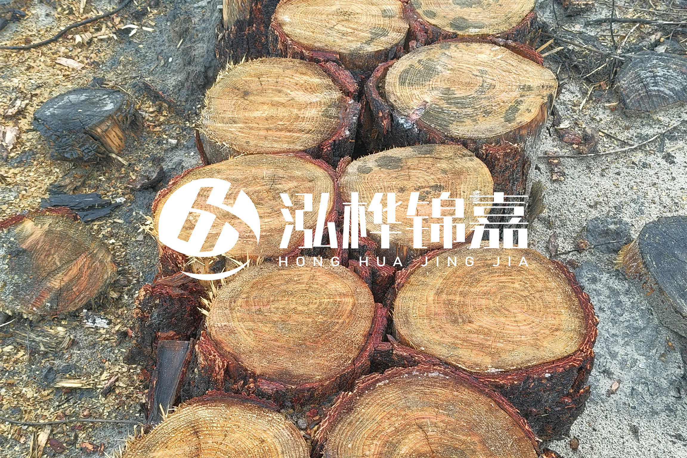 浙江臺州有清淤的公司嗎？浙江臺州有清淤施工隊嗎？