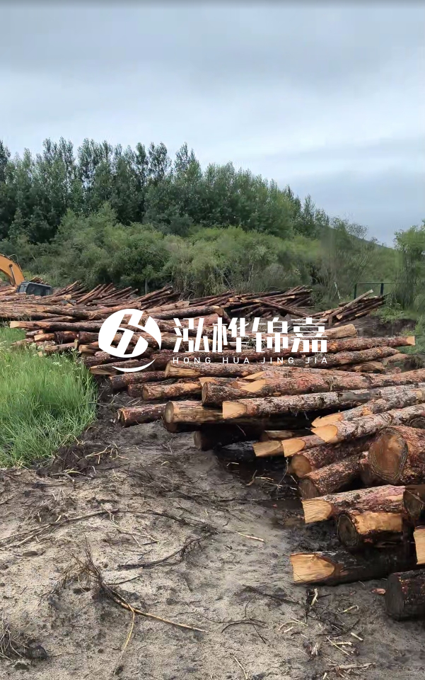 甘肅河道清淤工程公司-為什么要進(jìn)行河道清淤？