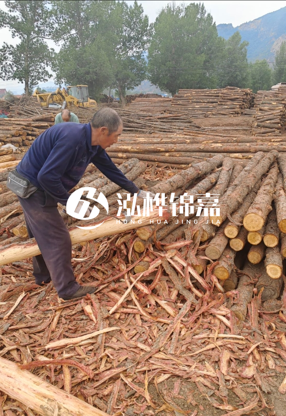 九江河底清理淤泥施工隊-河道清淤85元一方能干嗎？