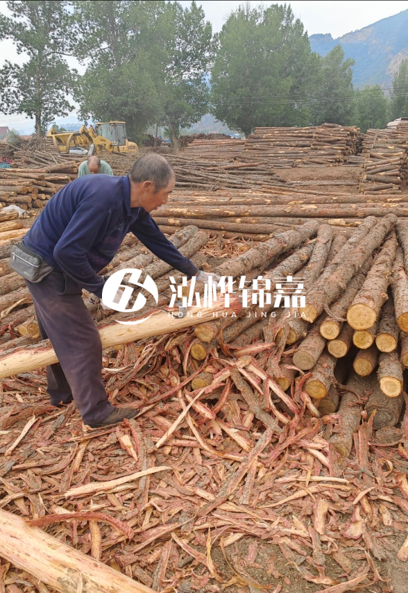 東營(yíng)河道清淤專(zhuān)業(yè)施工隊-不同型號挖機清淤能力對比？