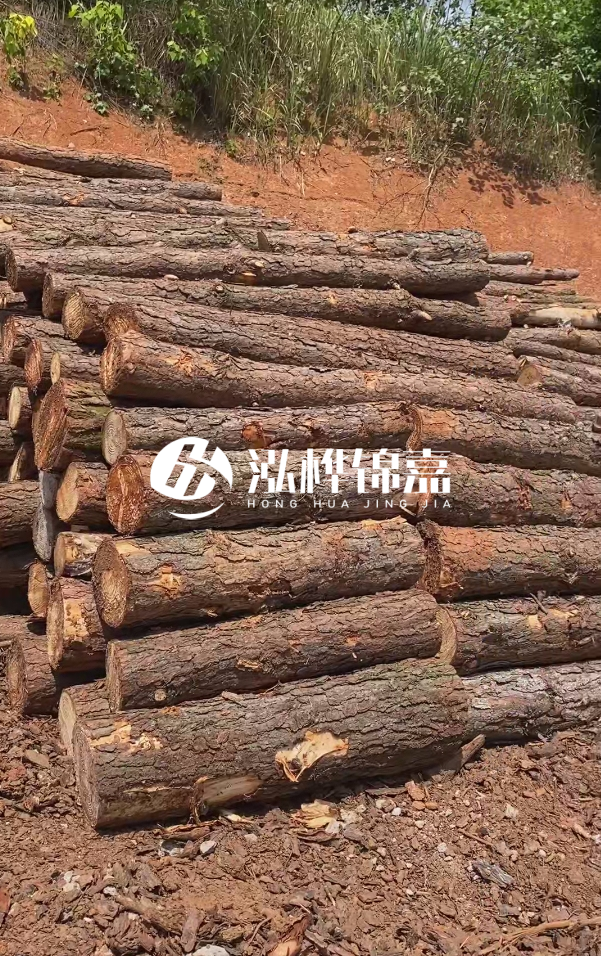 七臺河河道清淤專(zhuān)業(yè)施工-河道清淤的淤泥多久能干？