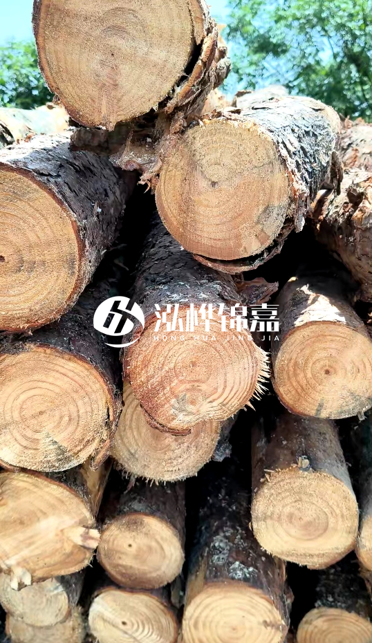 周口挖機打木樁專(zhuān)業(yè)施工-杉木樁施工打樁怎么打？