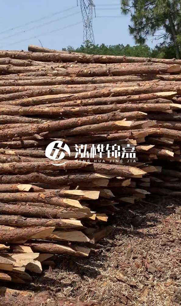 鄂州挖機打木樁專(zhuān)業(yè)施工-如何選擇高質(zhì)量的河道杉木樁？