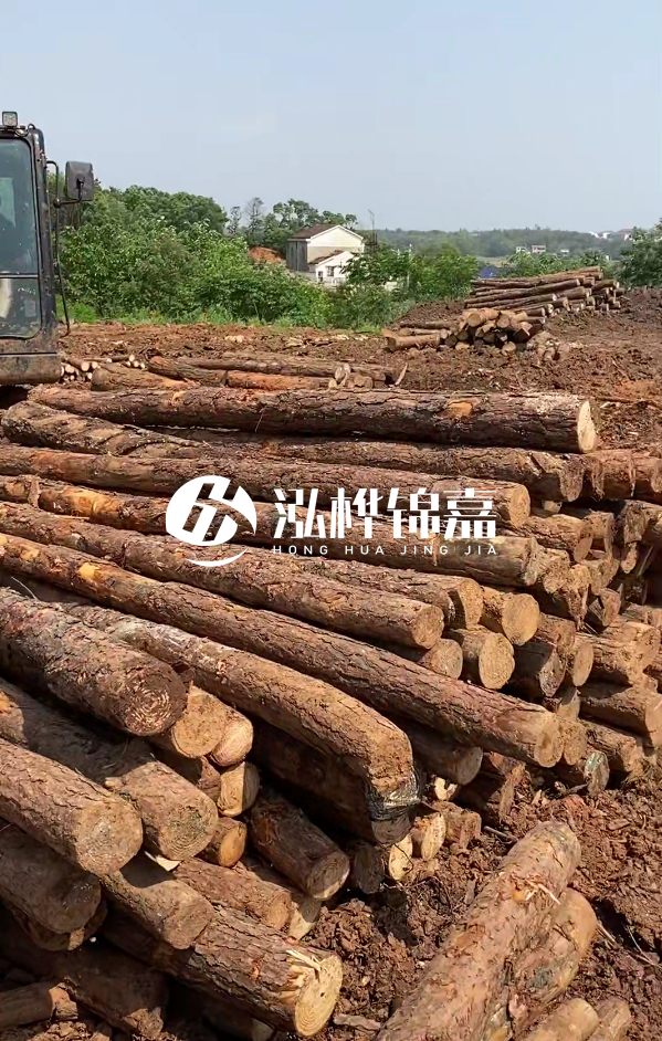 荊州挖機打木樁專(zhuān)業(yè)施工-河道打樁木被水浸泡后會(huì )不會(huì )變形嚴重？