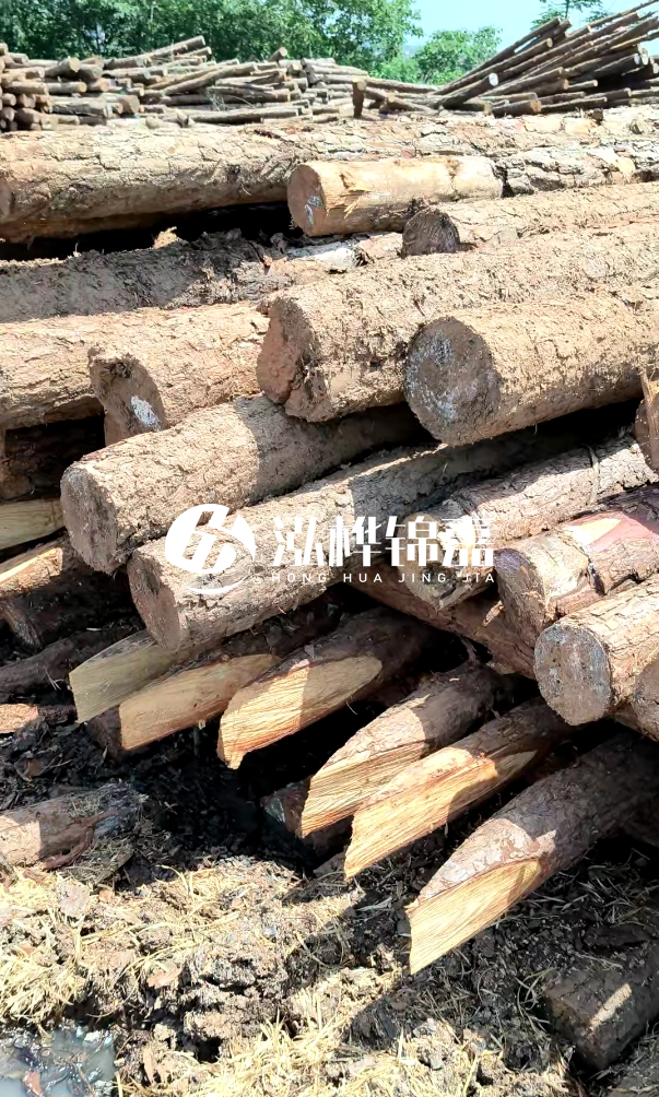 荊門(mén)挖機打木樁專(zhuān)業(yè)施工-河道打木樁前是否要清理河道底部雜物？