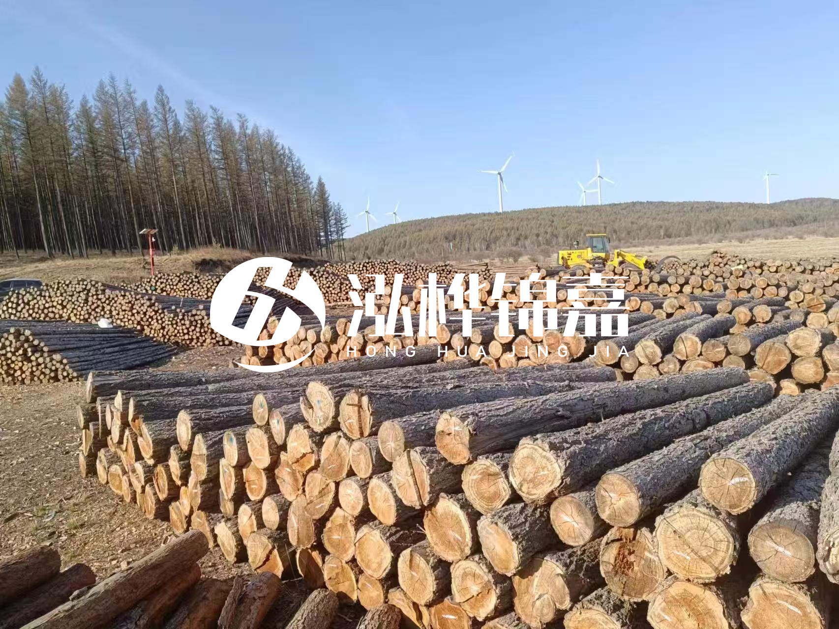 湘潭松木樁源頭廠(chǎng)家-松木樁與水泥樁的性?xún)r(jià)比對比如何？