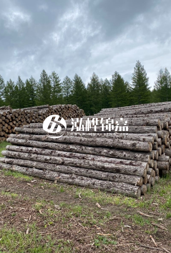 長(cháng)沙松木樁源頭廠(chǎng)家-如何甄別松木樁打樁木的質(zhì)量好壞？