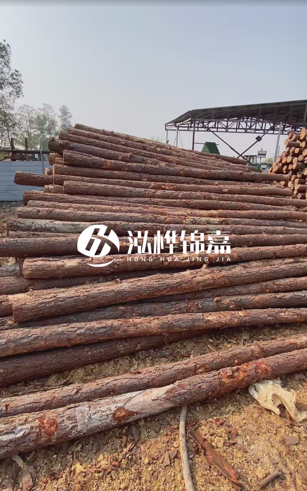 岳陽(yáng)松木樁源頭廠(chǎng)家-河道木樁護岸能否抵御洪水沖擊？