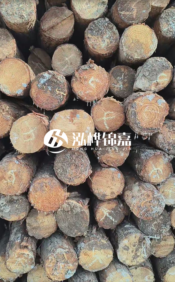 邵陽(yáng)松木樁源頭廠(chǎng)家-松木樁護岸適合哪些地理環(huán)境？