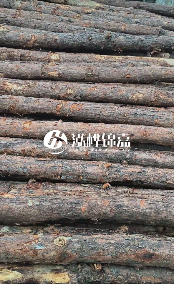 陽(yáng)江松木樁源頭廠(chǎng)家-哪一種打樁木最便宜？