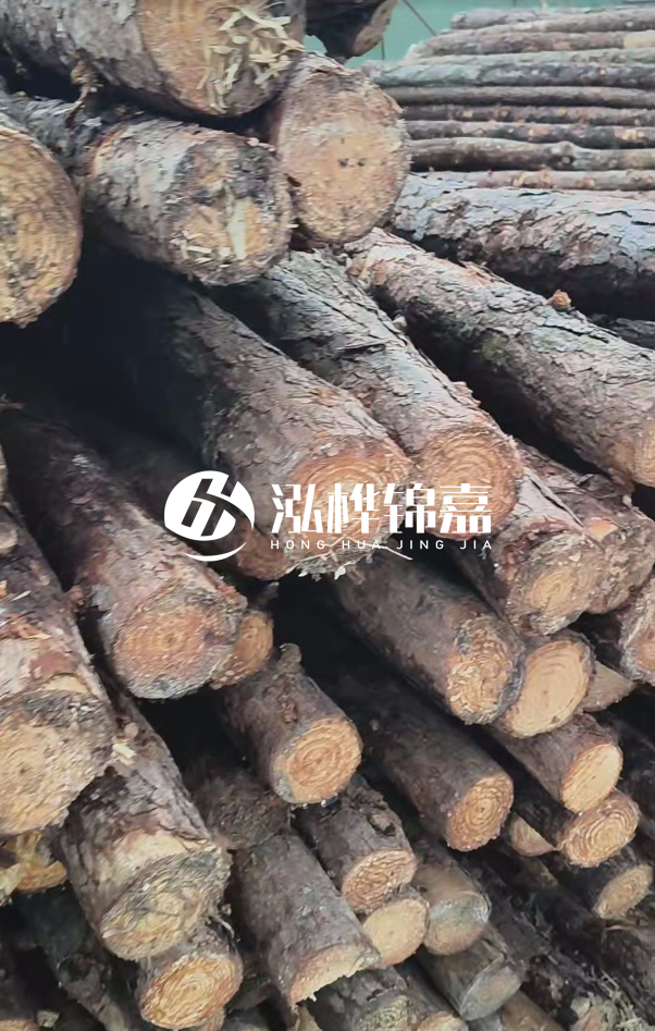 汕尾松木樁源頭廠(chǎng)家-松木樁在水中的耐久性如何？