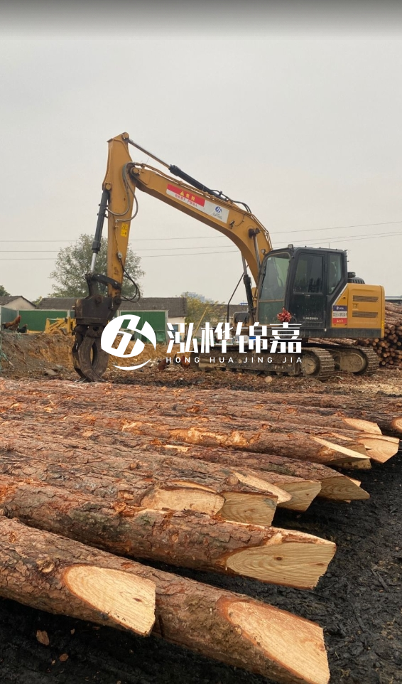 北海松木樁源頭廠(chǎng)家-松木樁價(jià)格4米多少一根？