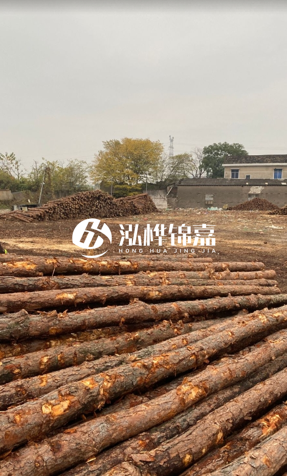 欽州松木樁源頭廠(chǎng)家-松木樁河道治理相比其他材料有何優(yōu)勢？