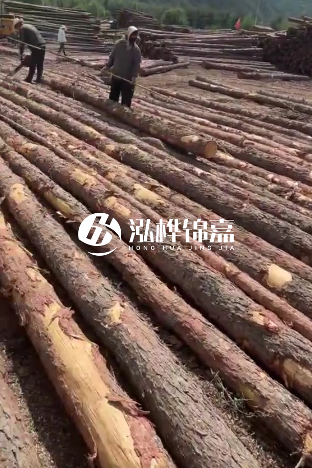 ?？谒赡緲对搭^廠(chǎng)家-松木樁最長(cháng)可以做多少米？