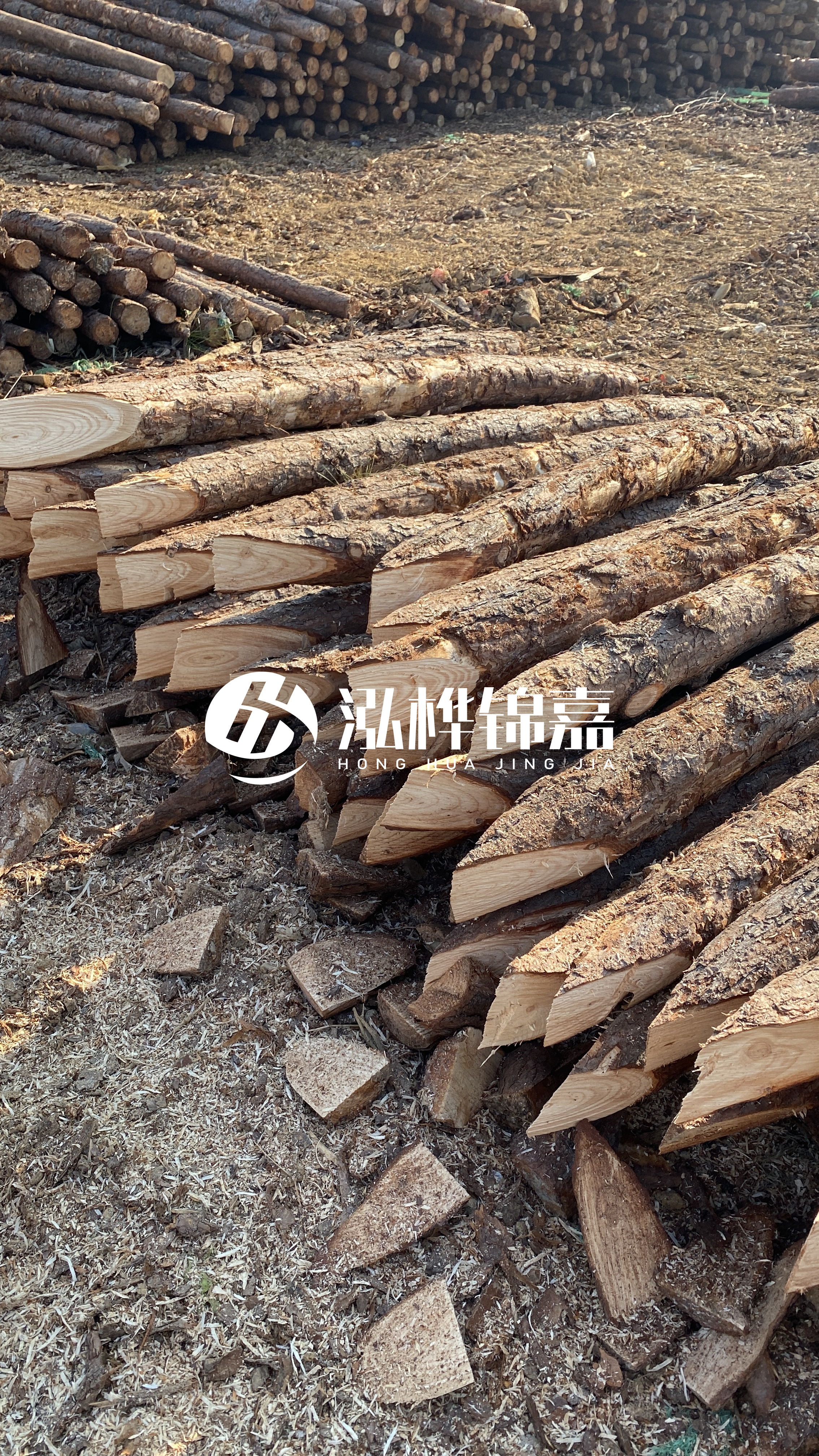 昭通松木樁源頭廠(chǎng)家-打樁木樁有什么用？