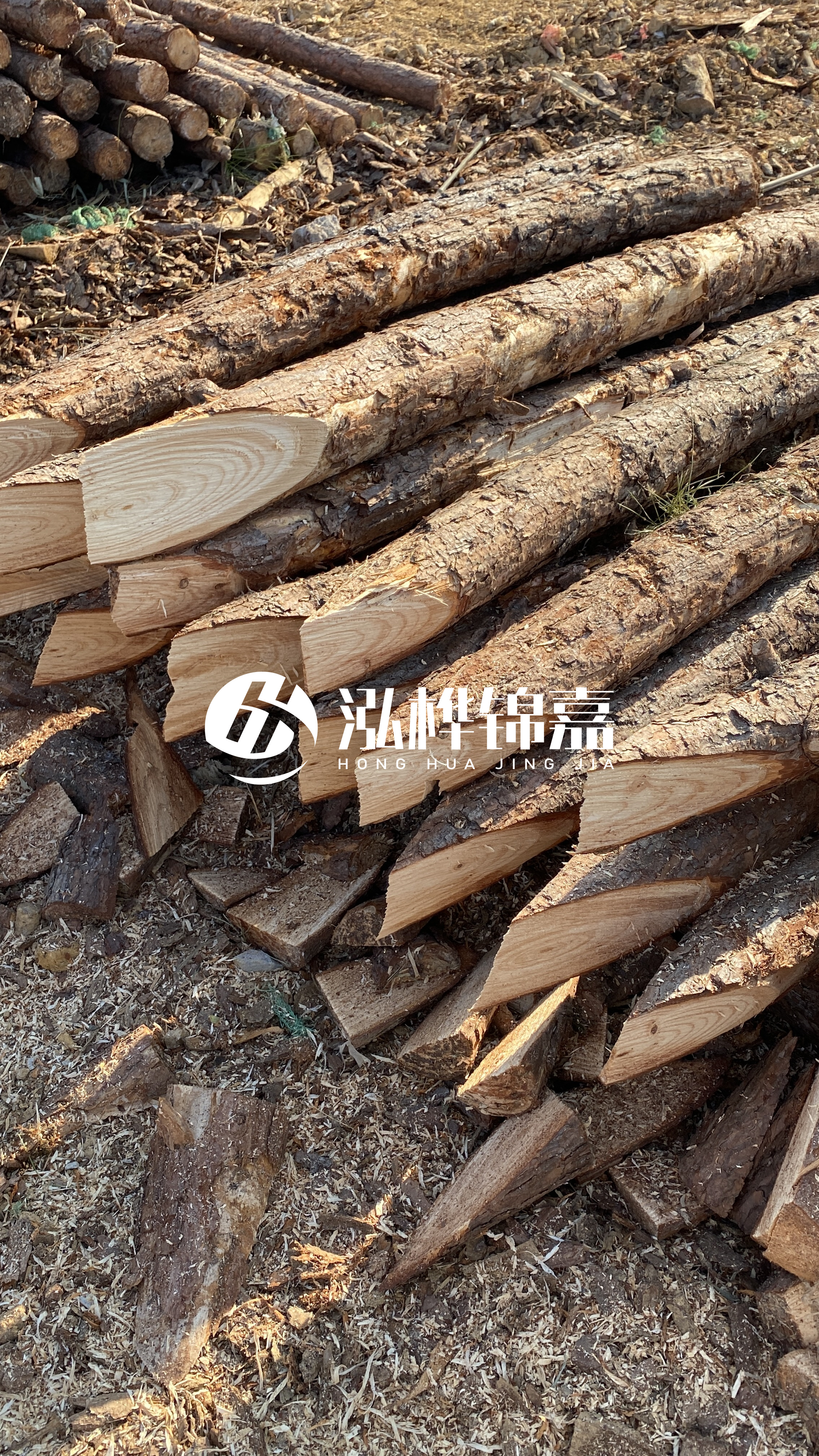 渭南松木樁批發(fā)源頭廠(chǎng)家-杉木樁4米小頭12公分大頭是多少？