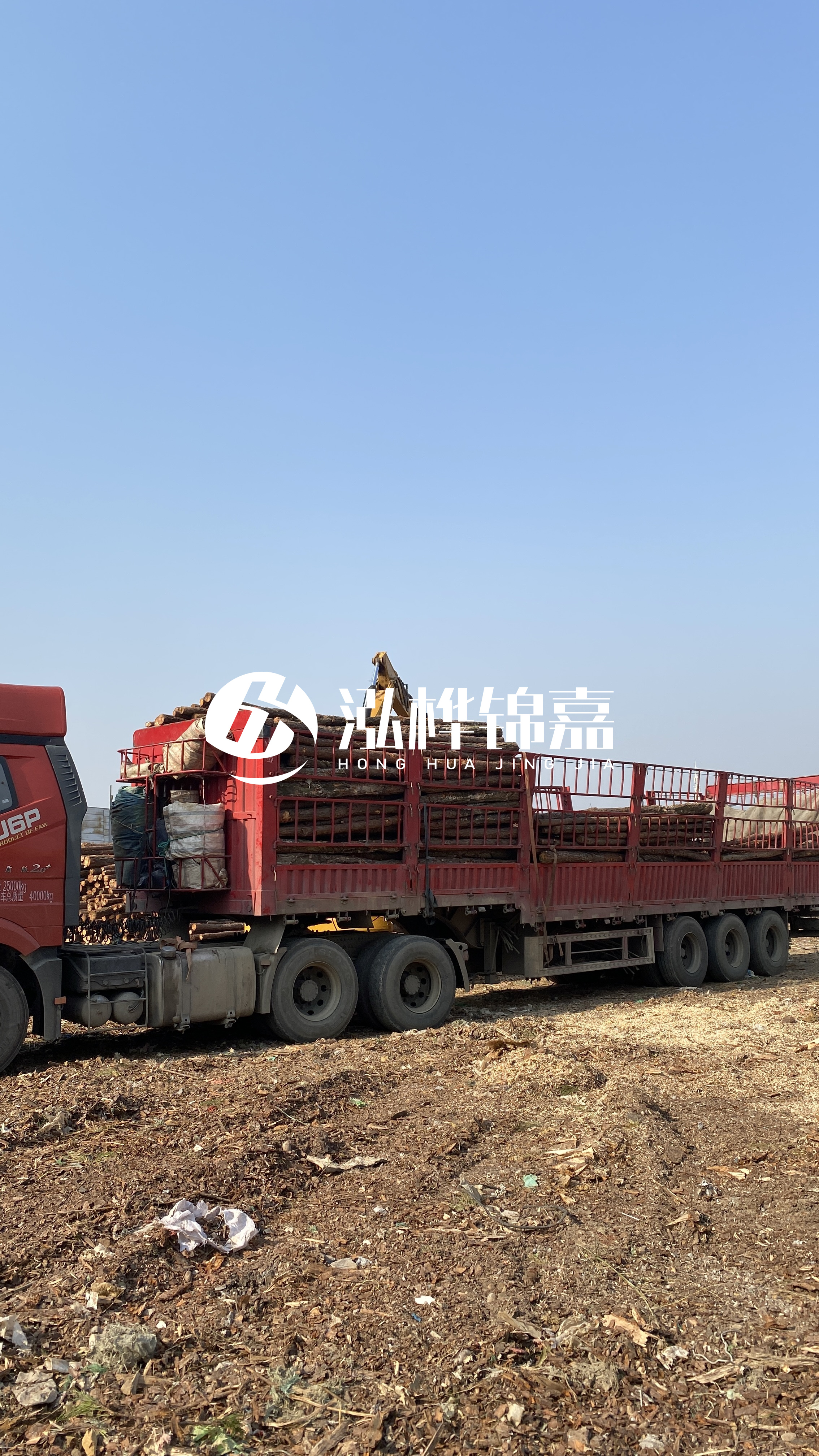 蘭州松木樁批發(fā)源頭廠(chǎng)家-落葉松與濕地松的主要區別？