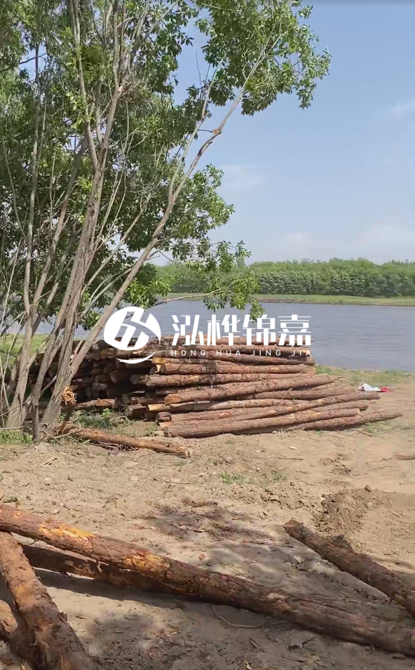 慶陽(yáng)挖機打木樁專(zhuān)業(yè)施工-松木打樁過(guò)程中如何避免木材開(kāi)裂？