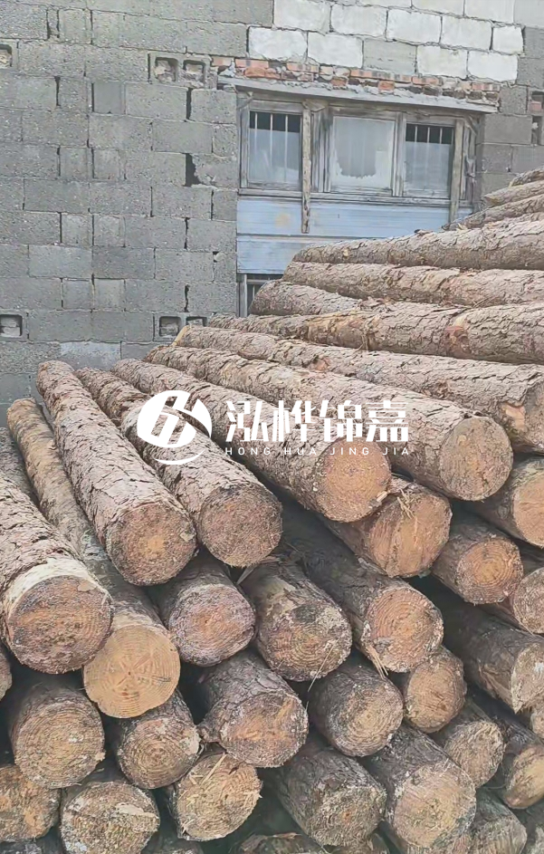 2025最新松木樁價(jià)格揭秘：松木樁一方到底多少錢(qián)？