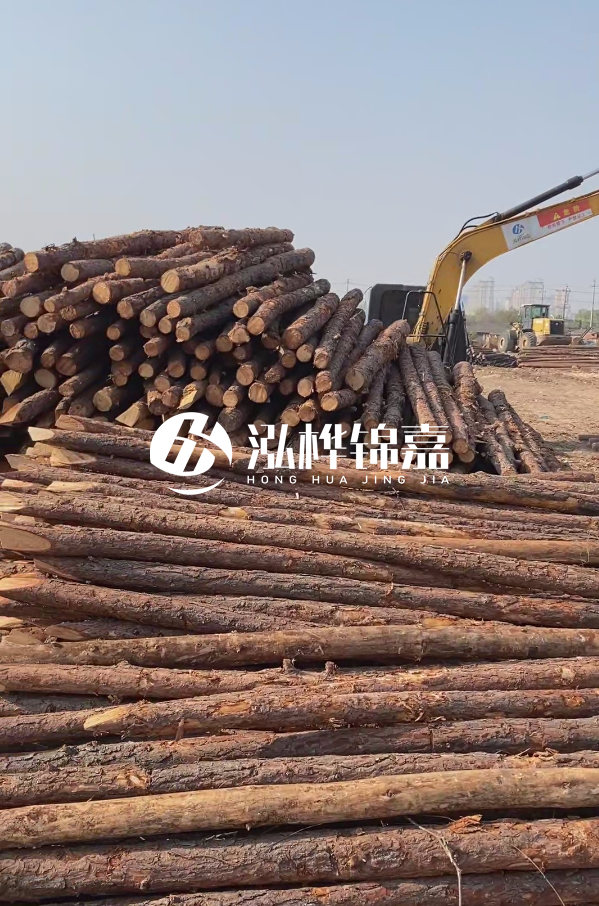 油松用于打樁木到底好不好？讓專(zhuān)業(yè)打樁隊告訴你！