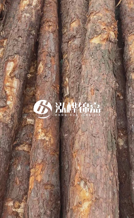 浙江地區大量供應松木樁，源頭廠(chǎng)家在哪里？