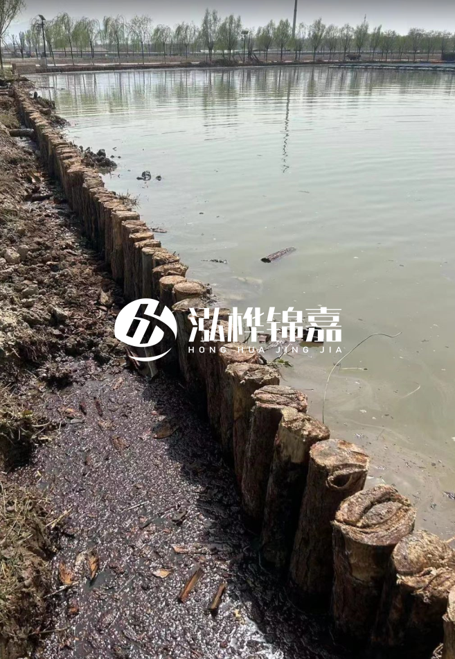 松木樁為什么要一根一根挨著(zhù)打？秘密在這里！看完恍然大悟！