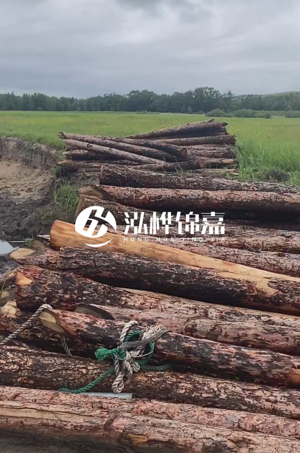 打樁木樁的選購標準是什么？材質(zhì)、尺寸與強度，哪些標準不能忽視？