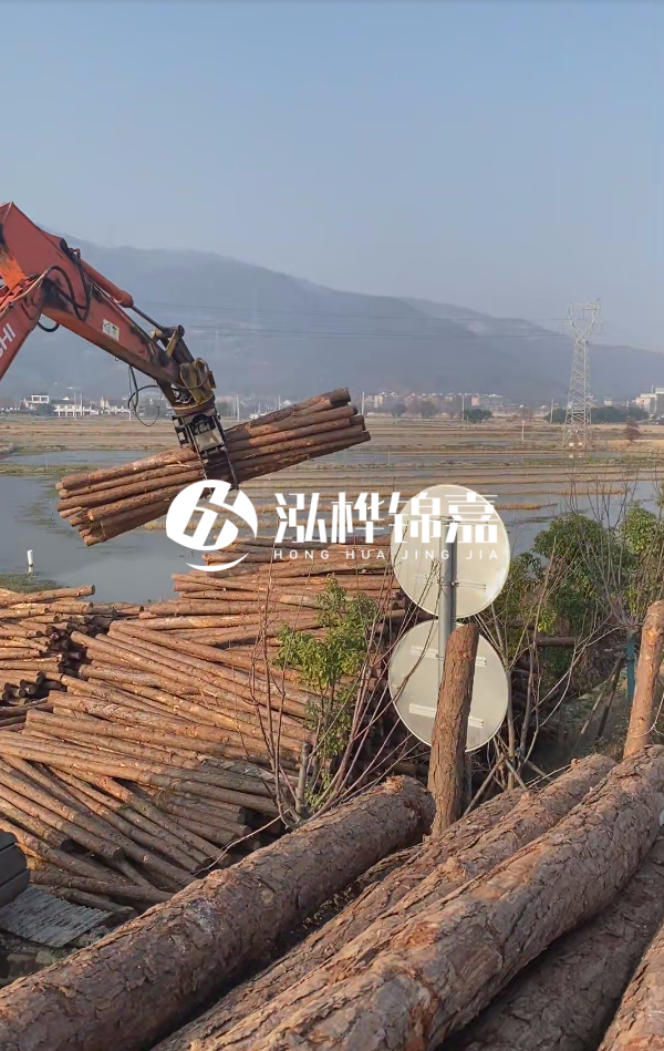 松木樁是否需要削皮呢？松木樁為什么不會(huì )爛掉呢？