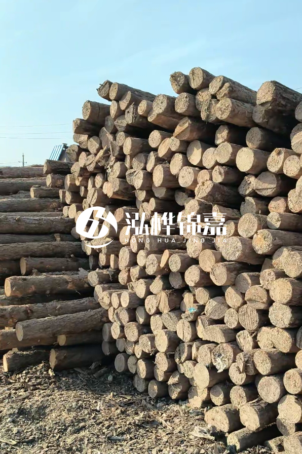 國內哪里的松木樁便宜又好？五大高性?xún)r(jià)比產(chǎn)地推薦