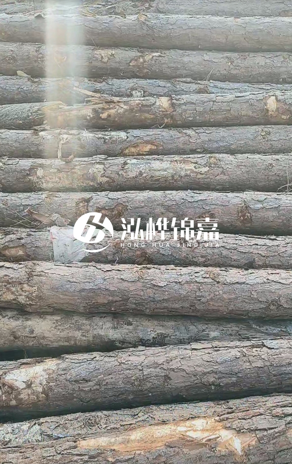 松木樁5米100mm一根多少錢(qián)-5米140mm多少錢(qián)？