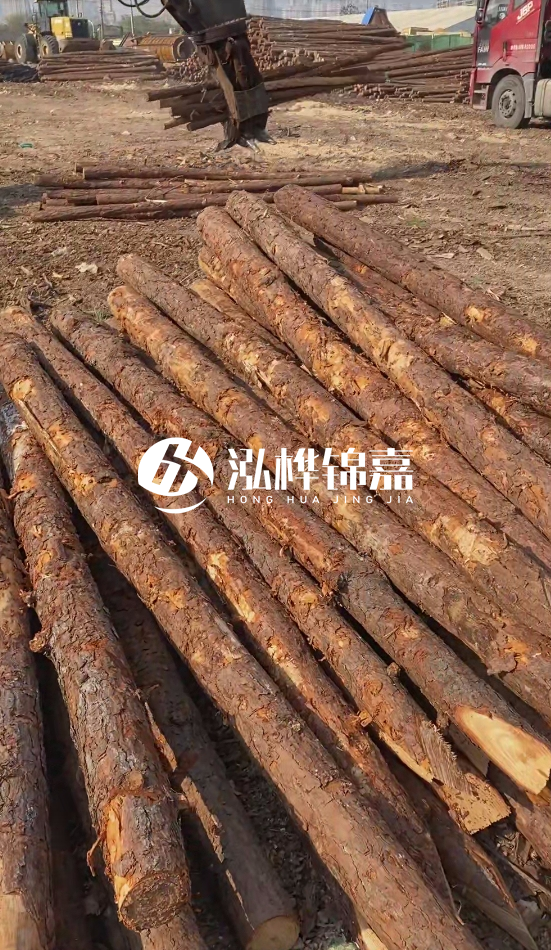 7米松木樁8一12公分價(jià)格？直徑15公分松木樁多少錢(qián)？
