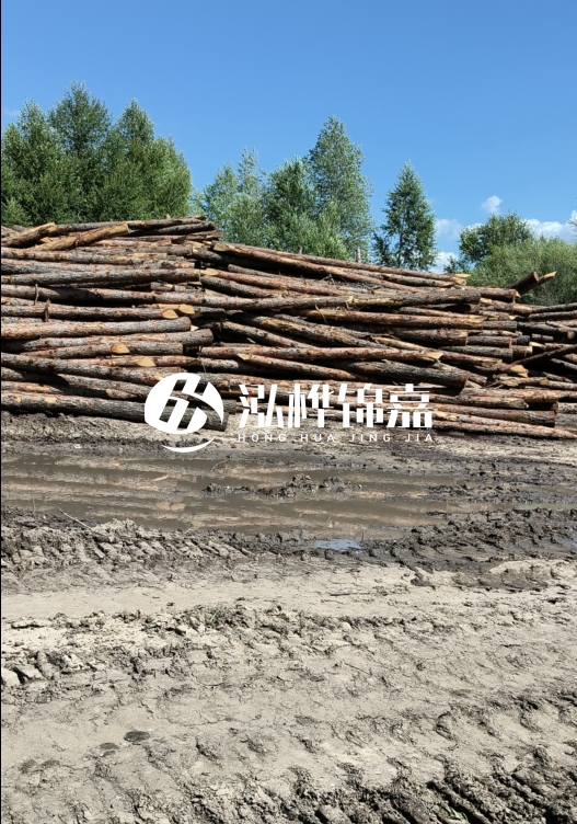 3米松木樁適合河道護坡嗎？小頭直徑8厘米的松木樁價(jià)格如何？